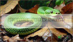 respiratory concerns in snakes