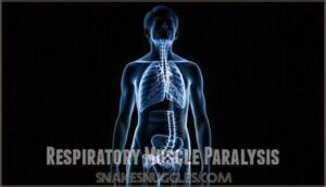 respiratory muscle paralysis