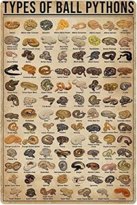 Retro Metal Tin Sign Types B0BTC2BWSV