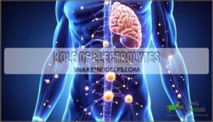 role of electrolytes