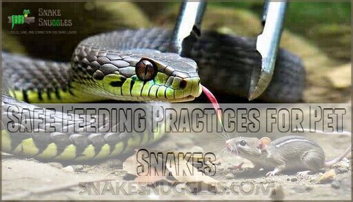 What to Feed a Pet Snake: Complete Guide to Safe Feeding Practices - Best Practices For Snake Breeding Diet Formulation
