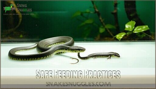 View of Difficulty Swallowing Prey for Snakes: When Big Meals Go Wrong
