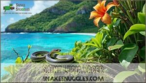 saint lucia racer
