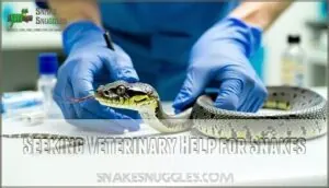 seeking veterinary help for snakes seeking veterinary help for snakes