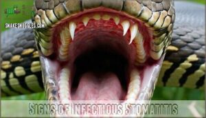 signs of infectious stomatitis