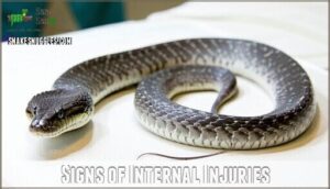 signs of internal injuries