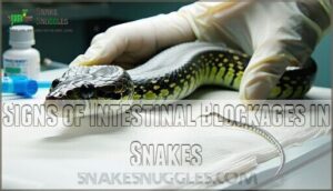 signs of intestinal blockages in snakes