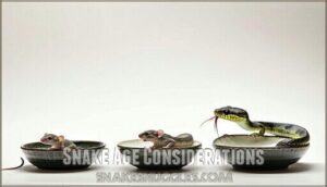 snake age considerations