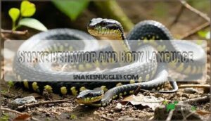 snake behavior and body language