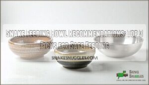 snake feeding bowl recommendations
