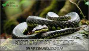 snake health and nutrition