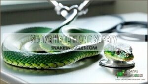 snake health and safety