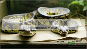snake impaction signs