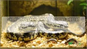 snake lethargic and not moving snake lethargic and not moving