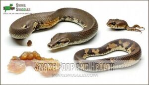 snake poop and health