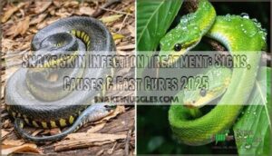 snake skin infection treatment
