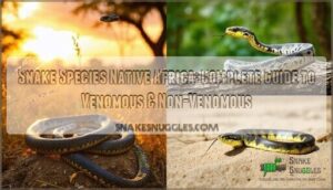 snake species native africa