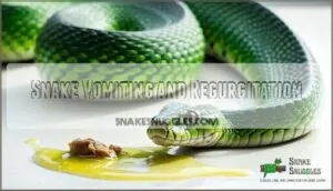 snake vomiting and regurgitation snake vomiting and regurgitation