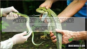 snakes and lizards handling techniques