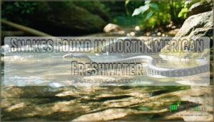snakes found in north american freshwater