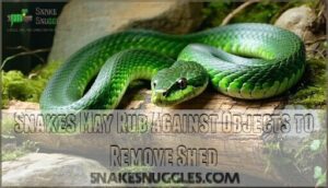 snakes may rub against objects to remove shed