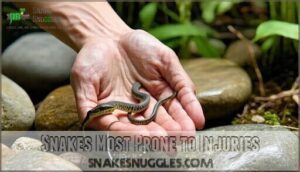 snakes most prone to injuries