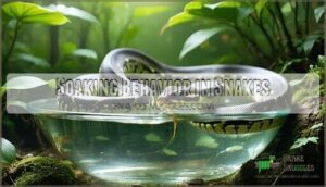 soaking behavior in snakes