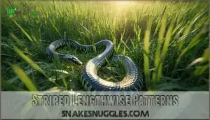 striped lengthwise patterns