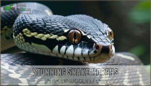 stunning snake morphs