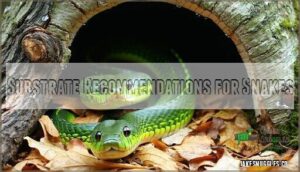 substrate recommendations for snakes