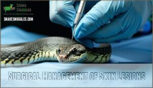 surgical management of skin lesions