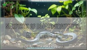 symptoms of ibd (regurgitation, anorexia, etc.)