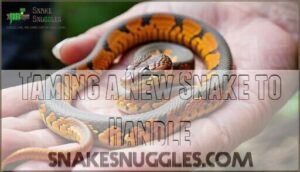taming a new snake to handle