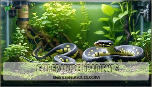 Ball Python Tank Setup: Complete Guide for Perfect Habitat 2025