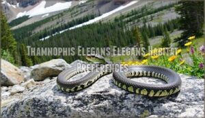 thamnophis elegans elegans habitat preferences