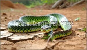 treating constipated snakes