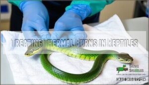 treating thermal burns in reptiles