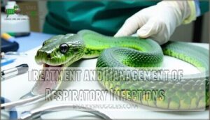 treatment and management of respiratory infections