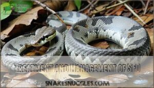 treatment and management of sfd