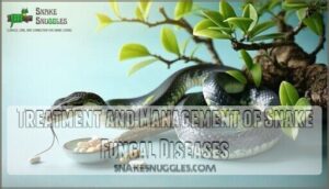 treatment and management of snake fungal diseases