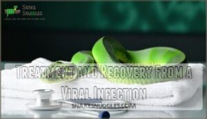 treatment and recovery from a viral infection