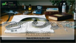 treatment options for severe snake pain