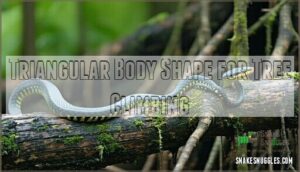 triangular body shape for tree climbing