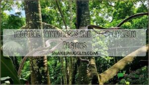 tropical rainforests and upper-amazon regions
