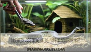 troubleshooting feeding issues