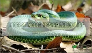 understanding hissing and coiling understanding hissing and coiling