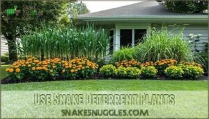 use snake deterrent plants