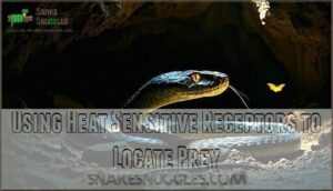 using heat sensitive receptors to locate prey