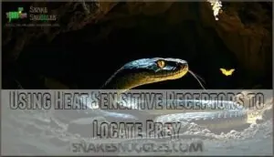 using heat sensitive receptors to locate prey using heat sensitive receptors to locate prey