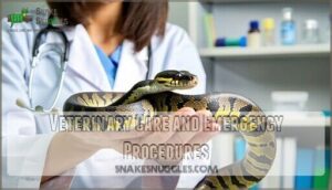 veterinary care and emergency procedures